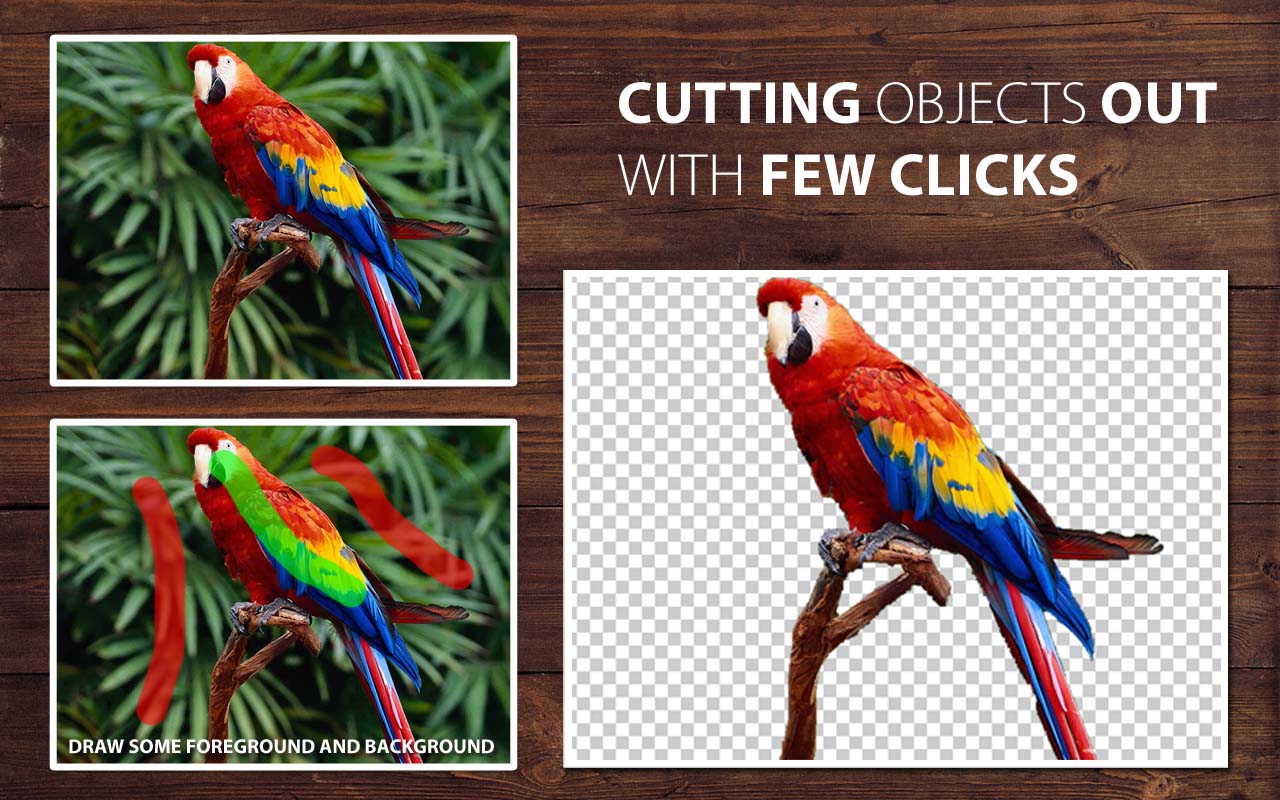 Automatically Remove Background From Image Photoscissors